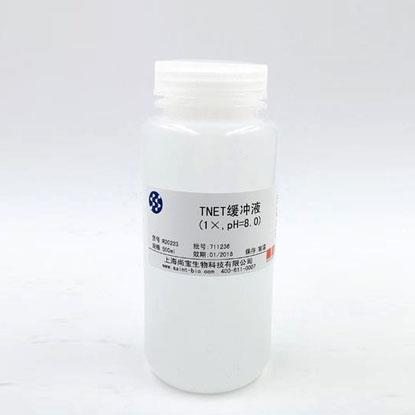 Tris鎂鹽緩沖液（1×，pH=7.8）