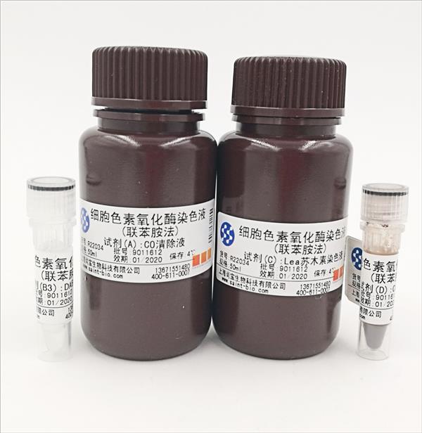 細胞色素氧化酶染色液（聯苯胺法）